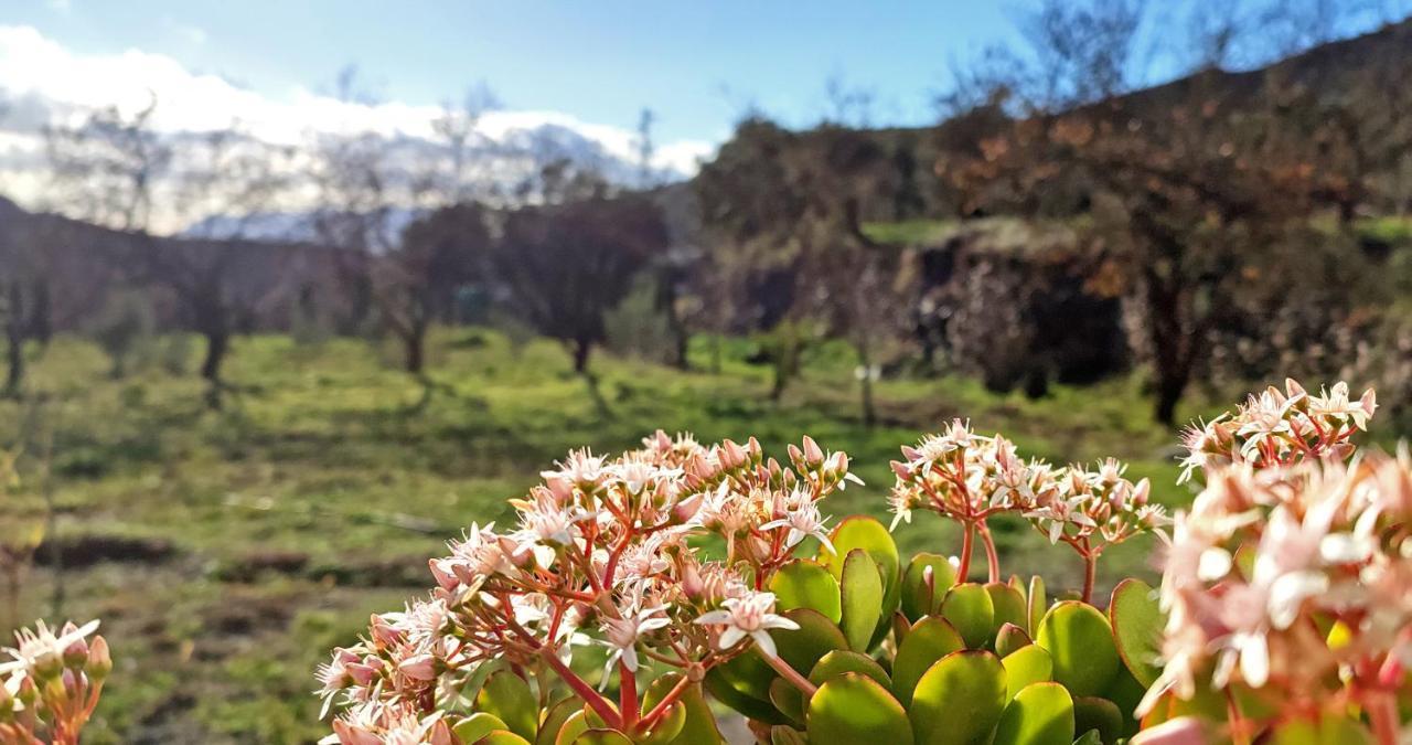 Cortijo Aguacha Villa Bayacas ภายนอก รูปภาพ