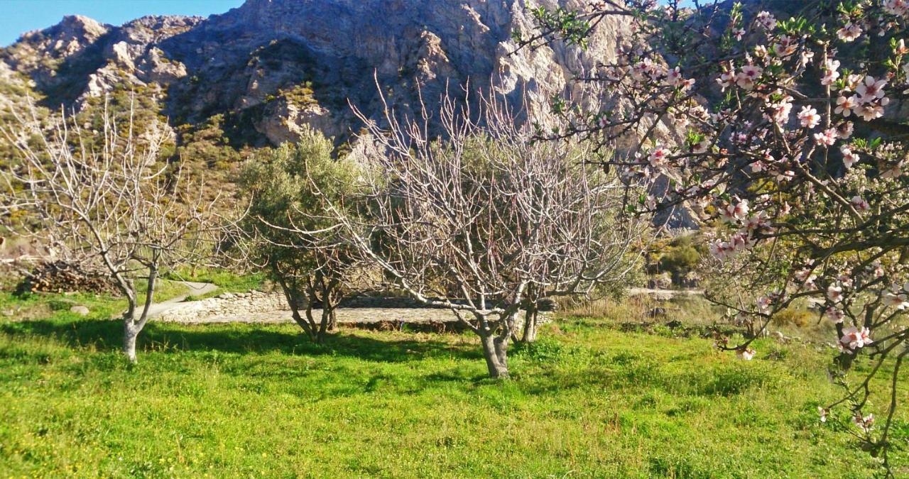Cortijo Aguacha Villa Bayacas ภายนอก รูปภาพ