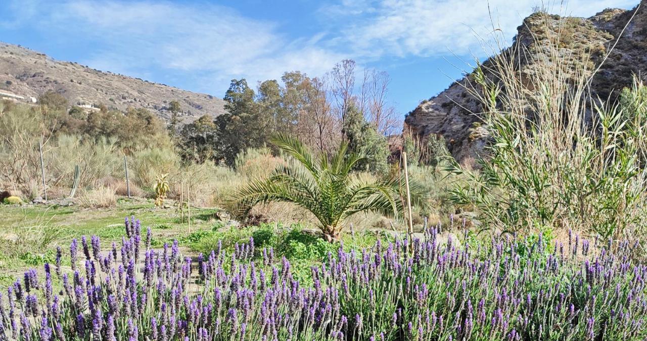 Cortijo Aguacha Villa Bayacas ภายนอก รูปภาพ