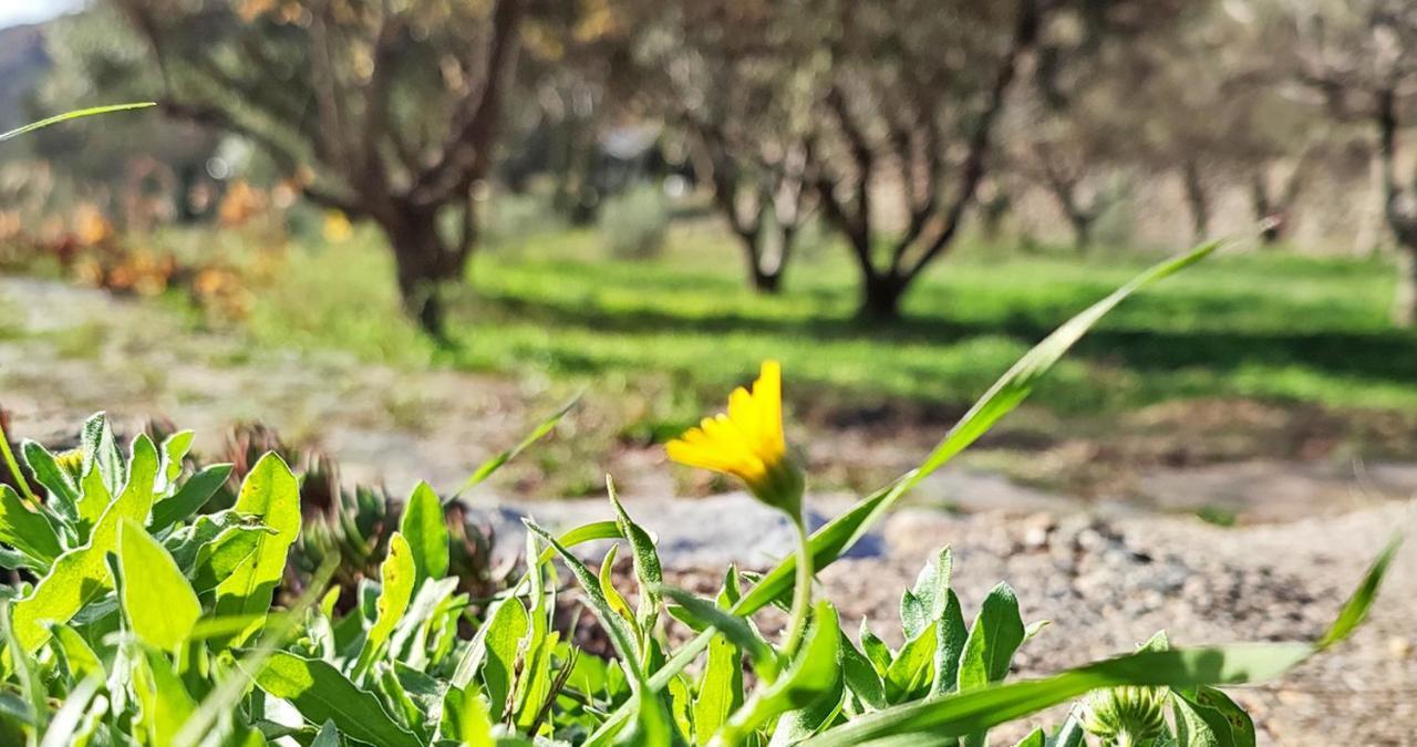 Cortijo Aguacha Villa Bayacas ภายนอก รูปภาพ