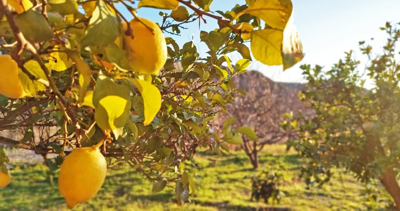Cortijo Aguacha Villa Bayacas ภายนอก รูปภาพ