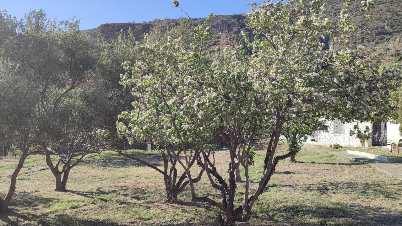 Cortijo Aguacha Villa Bayacas ภายนอก รูปภาพ
