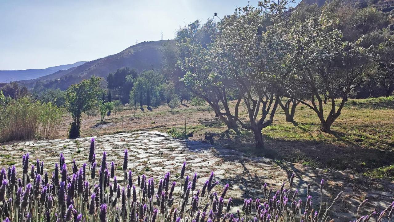 Cortijo Aguacha Villa Bayacas ภายนอก รูปภาพ
