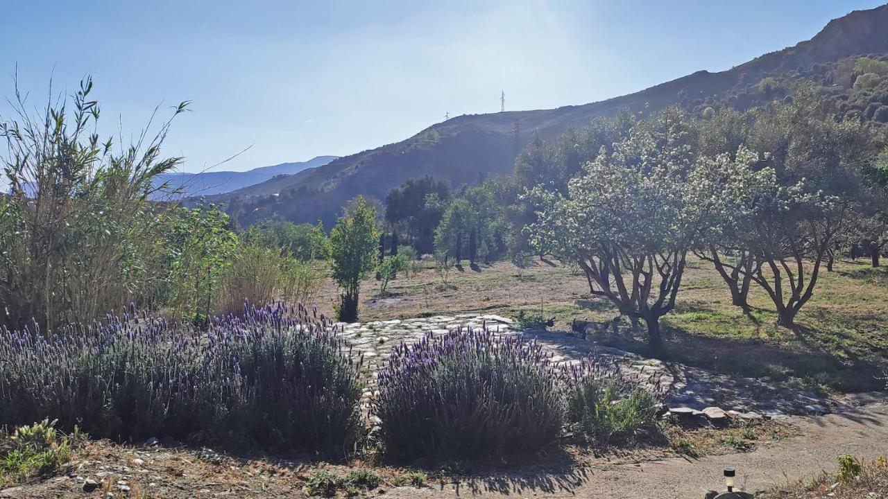 Cortijo Aguacha Villa Bayacas ภายนอก รูปภาพ